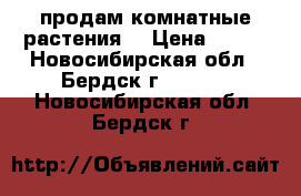 продам комнатные растения. › Цена ­ 100 - Новосибирская обл., Бердск г.  »    . Новосибирская обл.,Бердск г.